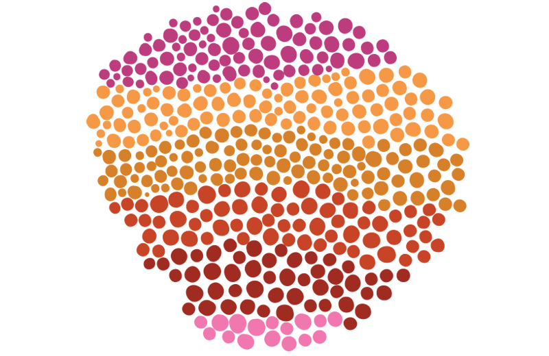 Dots and rings of colours represent the learning journeys of children